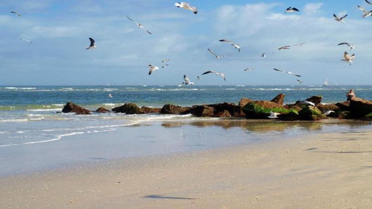 The Saint Augustine Beach House 외부 사진
